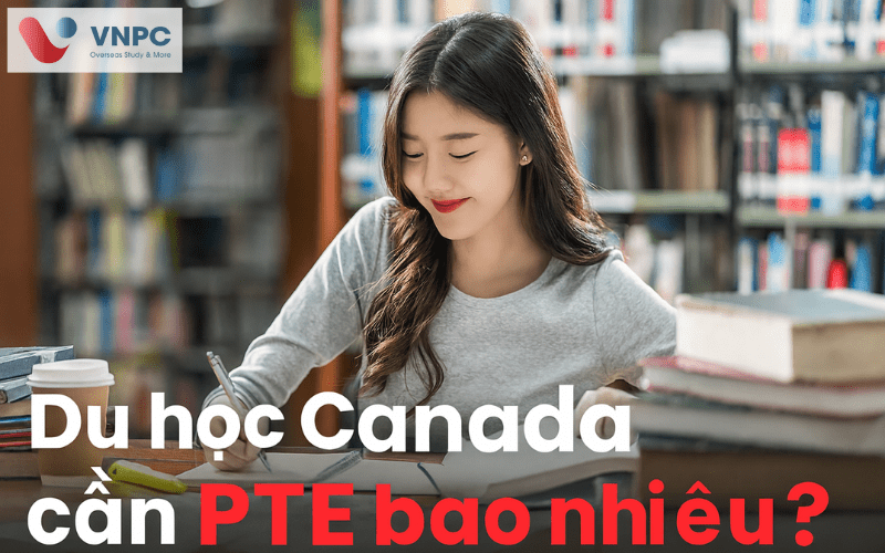 Du học Canada cần PTE bao nhiêu điểm? Cập nhật yêu cầu theo bậc học